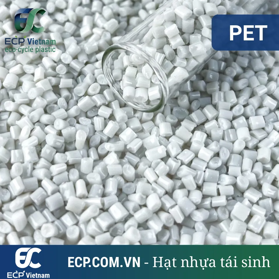 Hạt nhựa PET tái chế