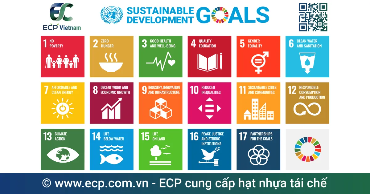 17 mục tiêu Phát triển bền vững (SDGs) của Liên Hợp Quốc là gì?