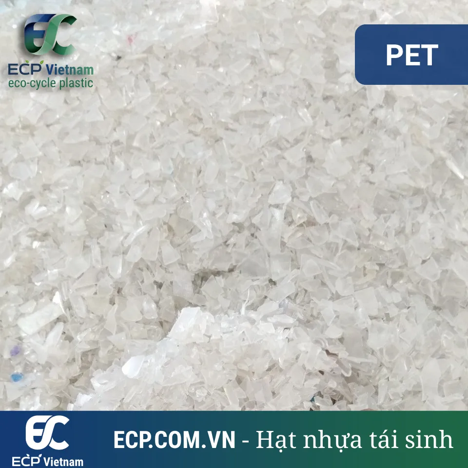 Vảy nhựa PET tái chế