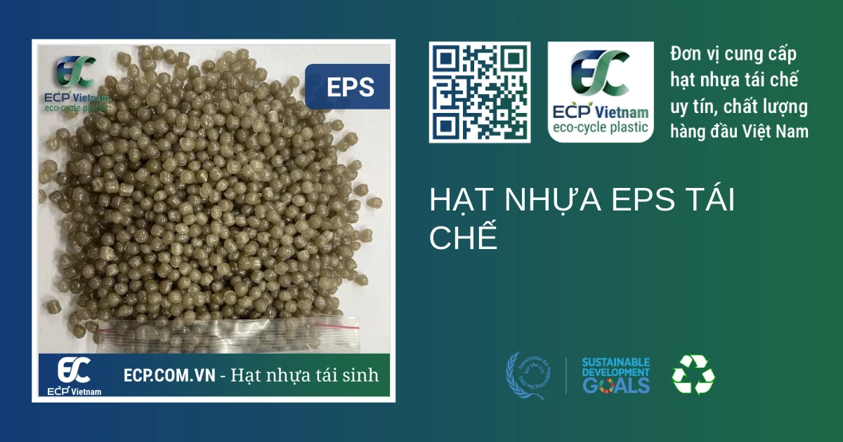 Hạt nhựa EPS tái chế