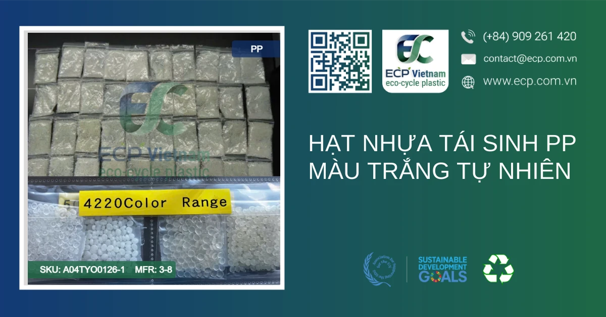 Hạt nhựa tái sinh PP màu trắng tự nhiên