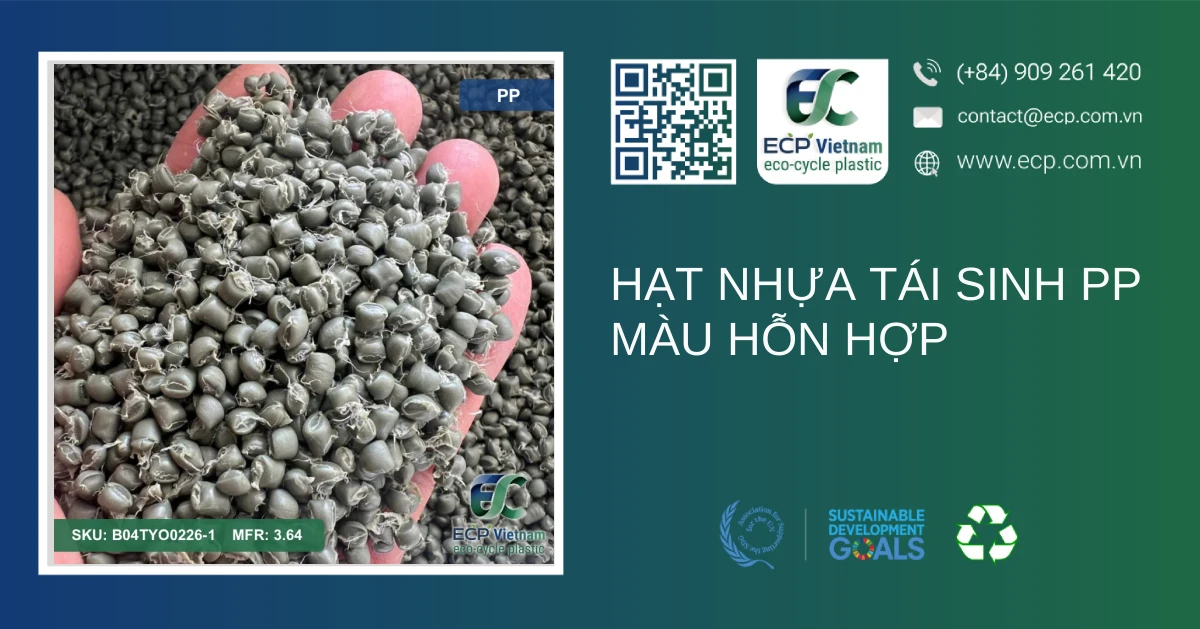 Hạt nhựa tái sinh PP màu hỗn hợp