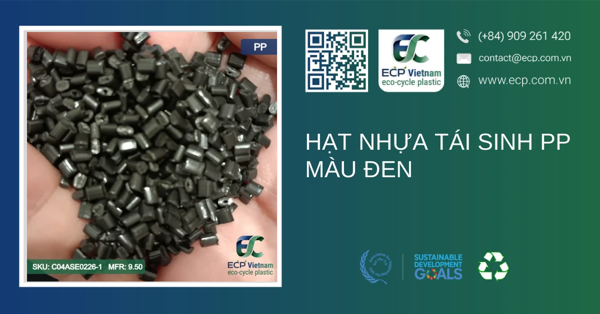 Hạt nhựa tái sinh PP màu đen
