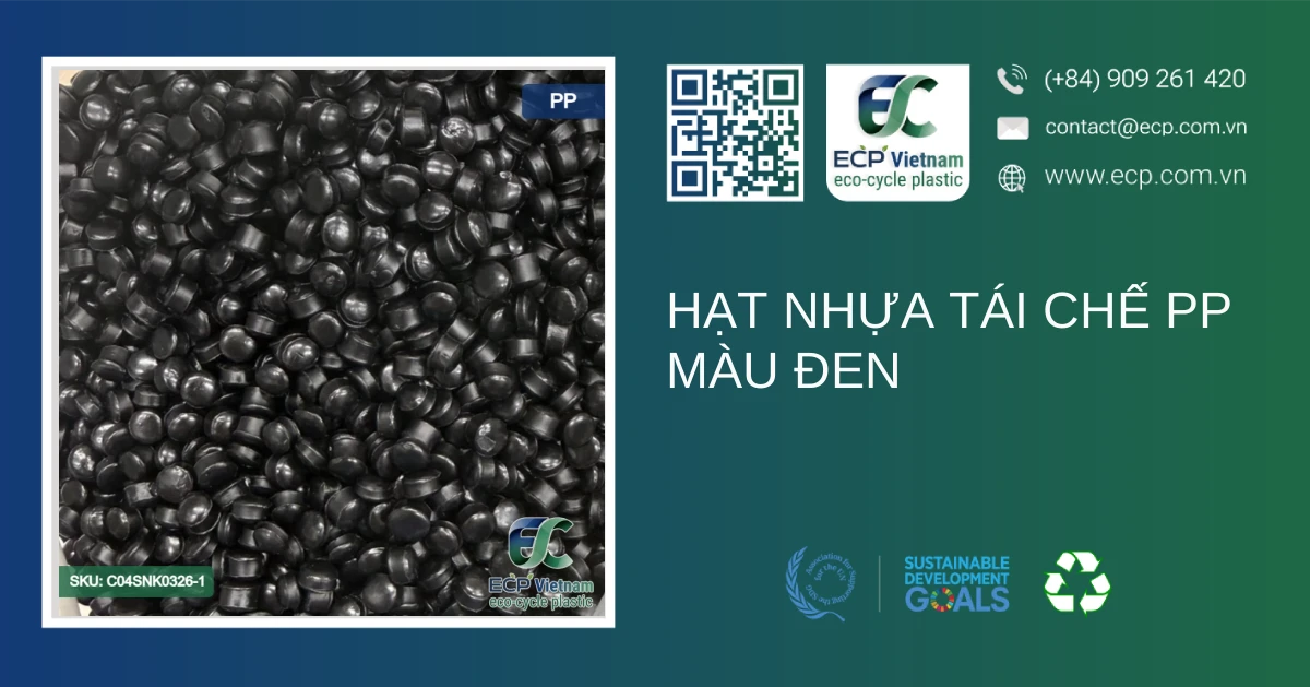 Hạt nhựa tái chế PP màu đen