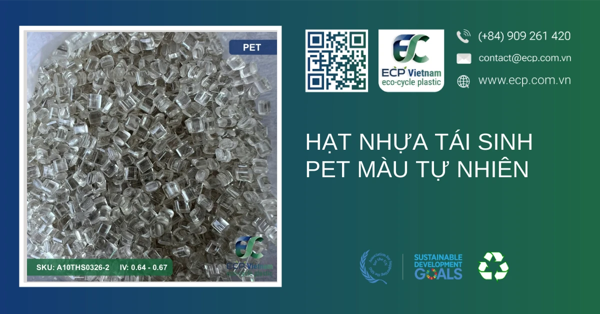 Hạt nhựa tái sinh PET màu tự nhiên