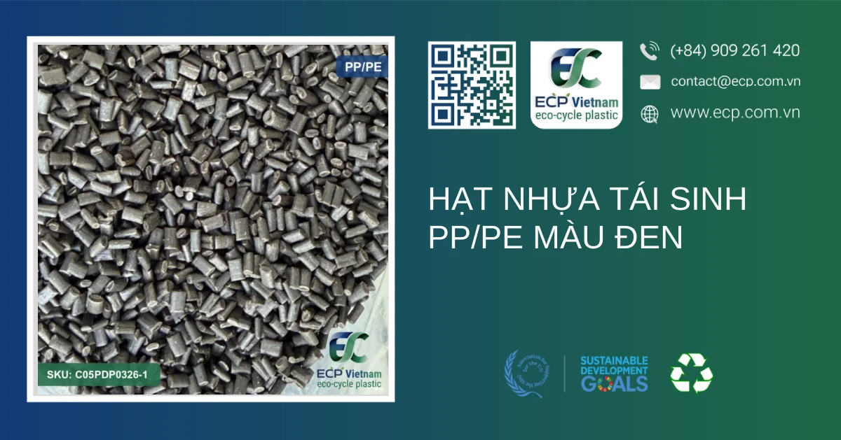 Hạt nhựa tái sinh PP/PE màu đen