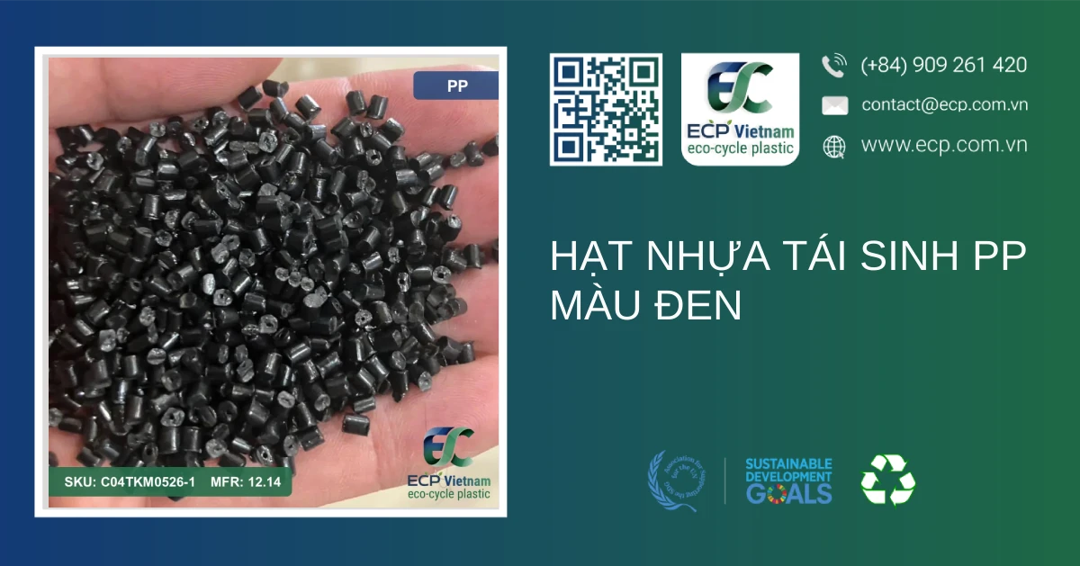 Hạt nhựa tái sinh PP màu đen