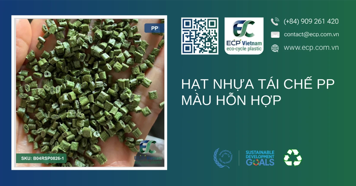 Hạt nhựa tái chế PP màu hỗn hợp