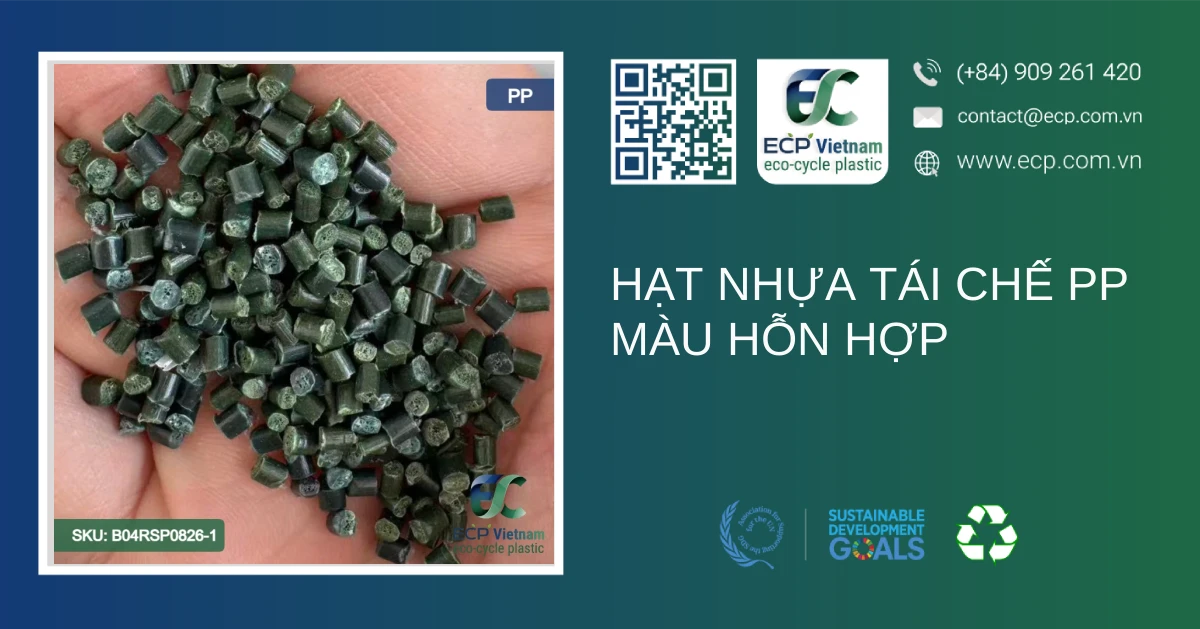 Hạt nhựa tái chế PP màu hỗn hợp